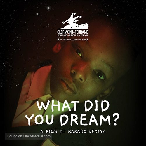 What Did You Dream? - South African Movie Poster