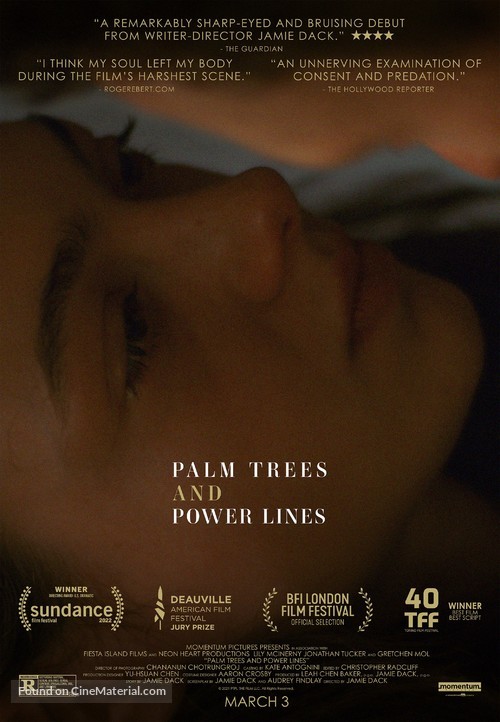 Palm Trees and Power Lines - Movie Poster