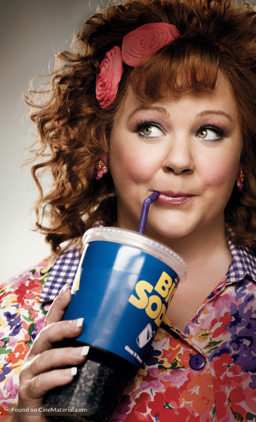 Identity Thief - Key art