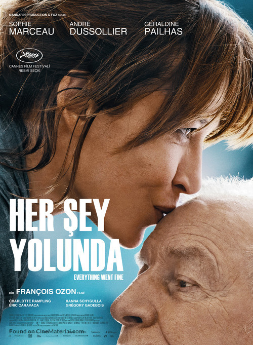 Tout s&#039;est bien pass&eacute; - Turkish Movie Poster