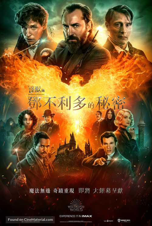 Fantastic Beasts: The Secrets of Dumbledore - Hong Kong Movie Poster