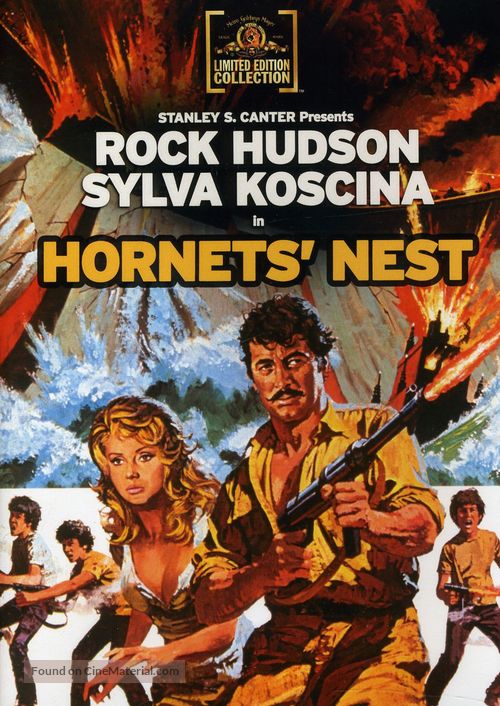 Hornets&#039; Nest - DVD movie cover