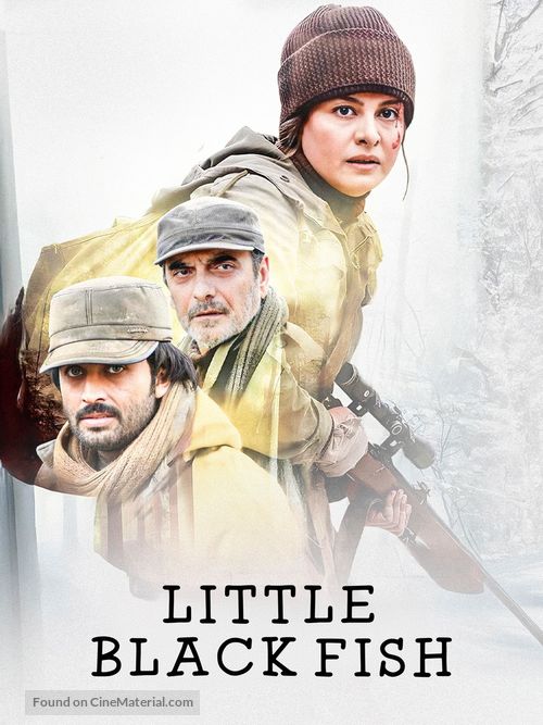 Little Black Fish - Movie Poster