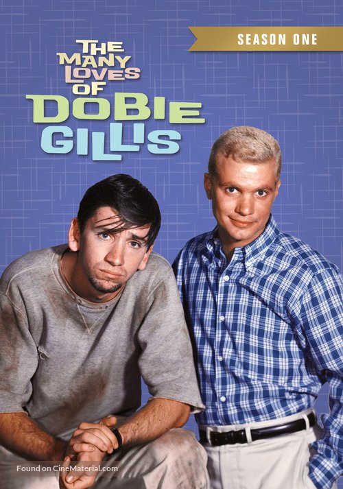 &quot;The Many Loves of Dobie Gillis&quot; - DVD movie cover