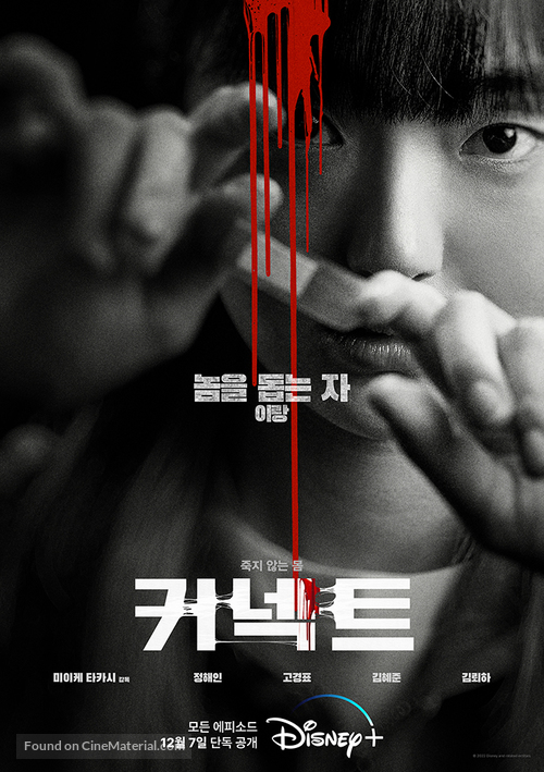 Connect - South Korean Movie Poster