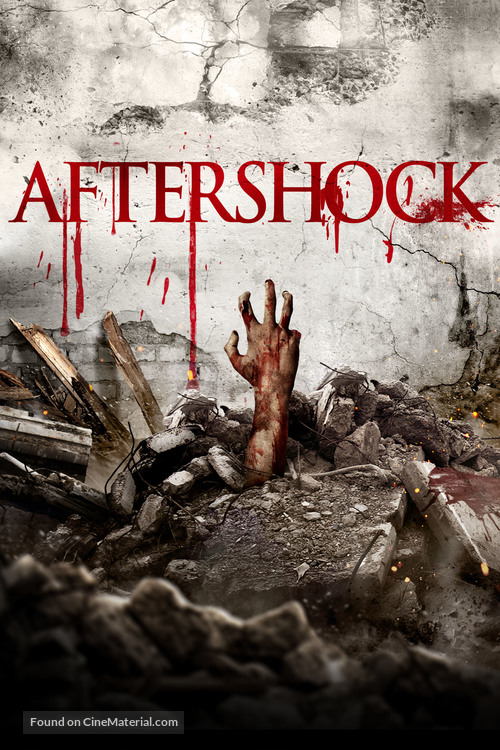 Aftershock - DVD movie cover