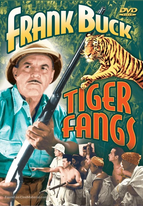 Tiger Fangs - DVD movie cover
