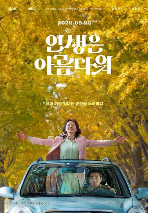 Insaeng-eun Areumdaweo - South Korean Movie Poster