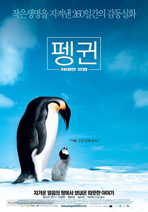 March Of The Penguins - South Korean poster