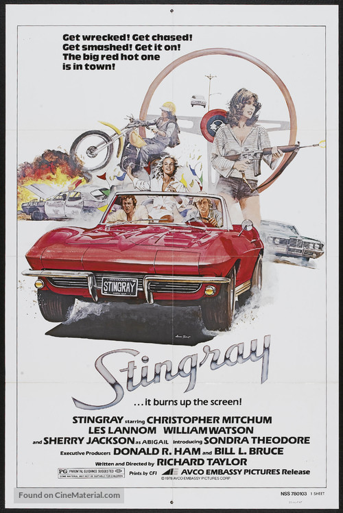 Stingray - Movie Poster