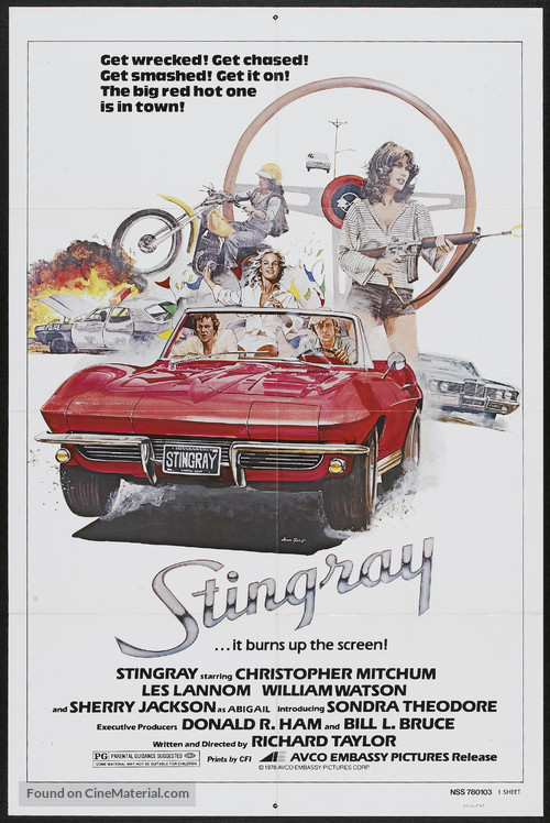 Stingray - Movie Poster