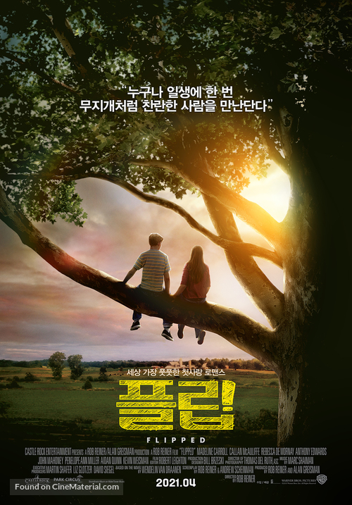 Flipped - South Korean Re-release movie poster