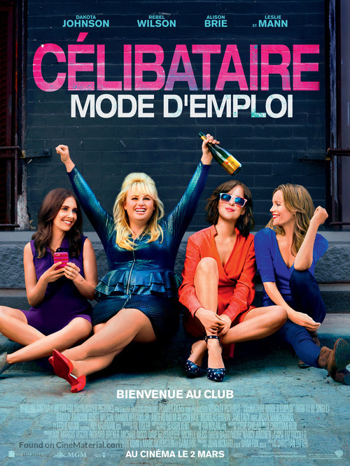 How to Be Single - French Movie Poster