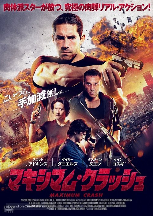 Zero Tolerance - Japanese Movie Cover