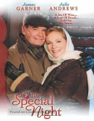 One Special Night - Movie Cover