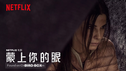 Bird Box - Chinese Movie Poster