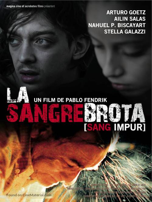 La sangre brota - French Movie Poster