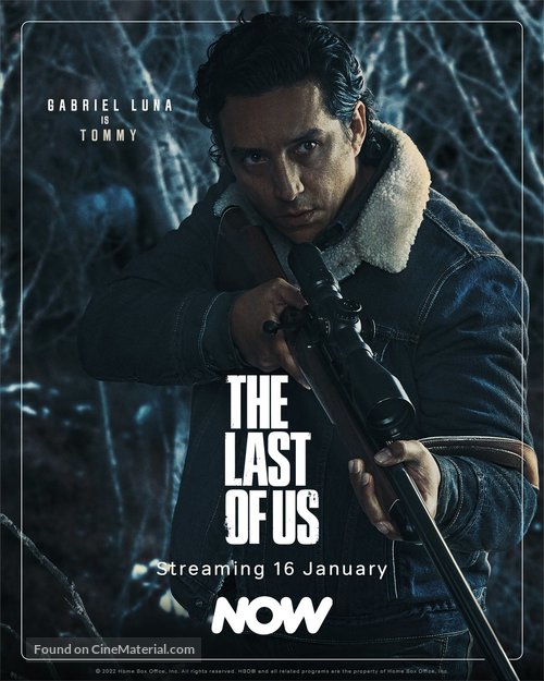 &quot;The Last of Us&quot; - Irish Movie Poster