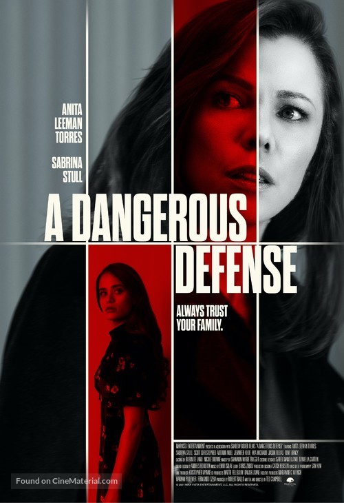 A Dangerous Defense - Movie Poster