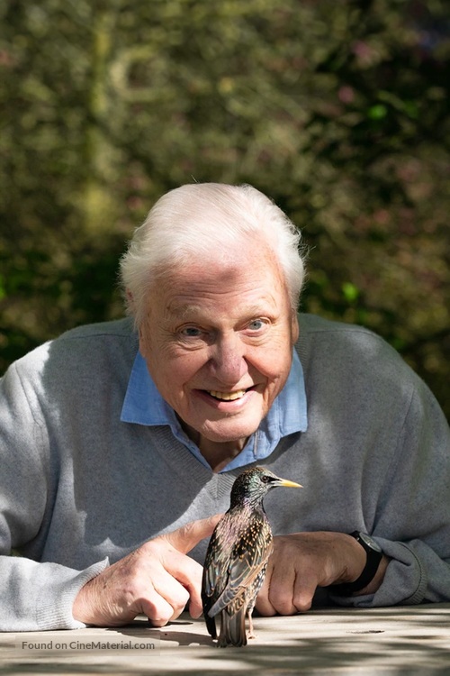 Secret World of Sound with David Attenborough - Key art