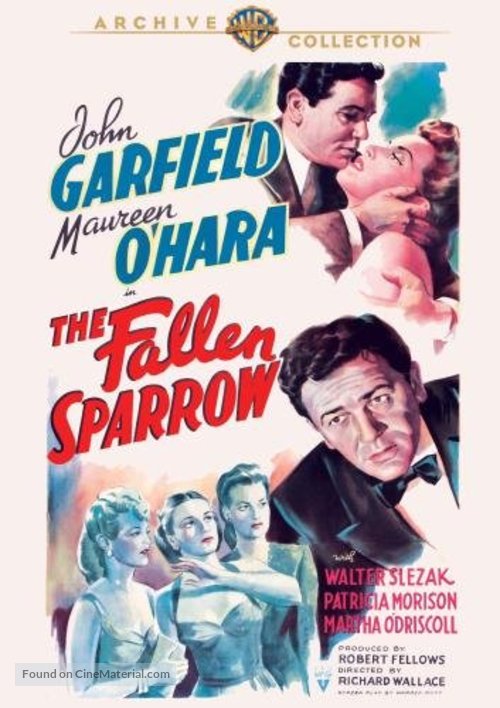 The Fallen Sparrow - DVD movie cover