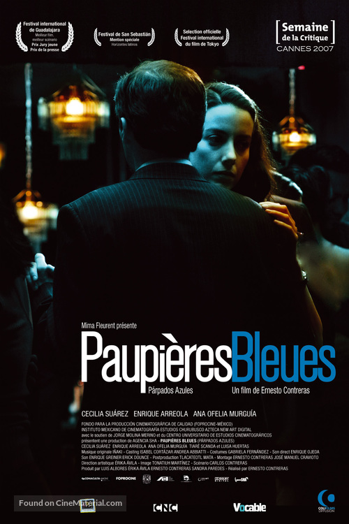 P&aacute;rpados azules - French poster