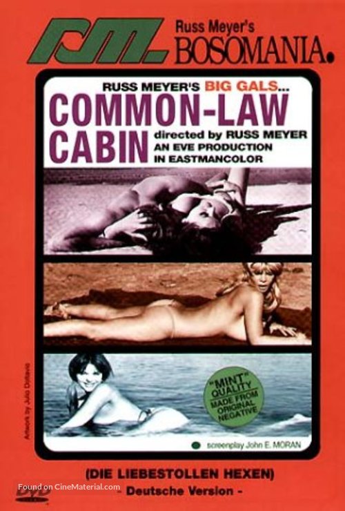 Common Law Cabin - DVD movie cover