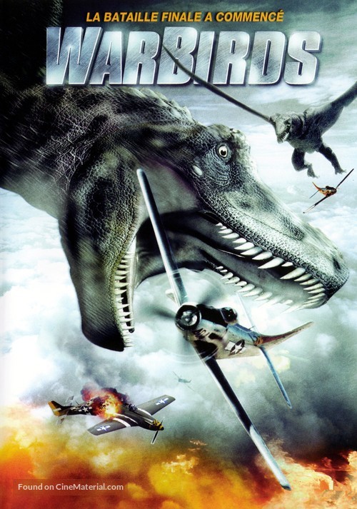 Warbirds - French DVD movie cover