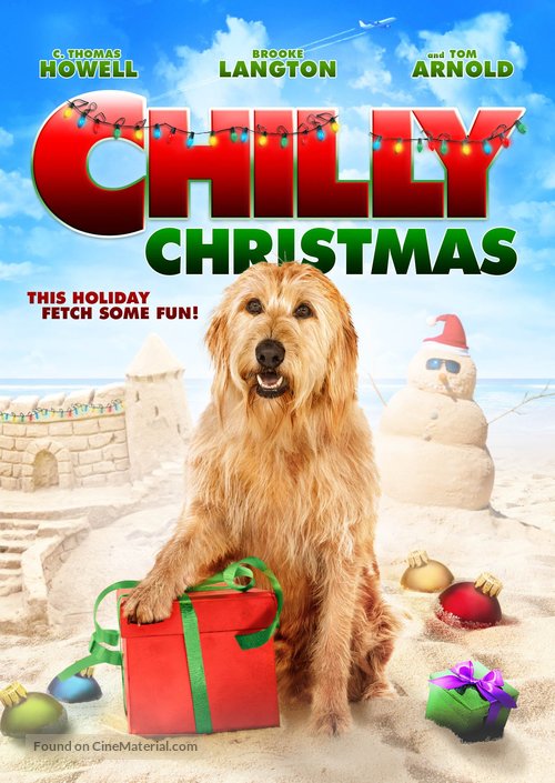 Chilly Christmas - DVD movie cover