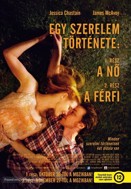 The Disappearance of Eleanor Rigby: Him - Hungarian Combo movie poster