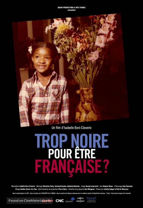 Trop Noire pour &ecirc;tre Fran&ccedil;aise? (Too black to be French?) - French Movie Poster