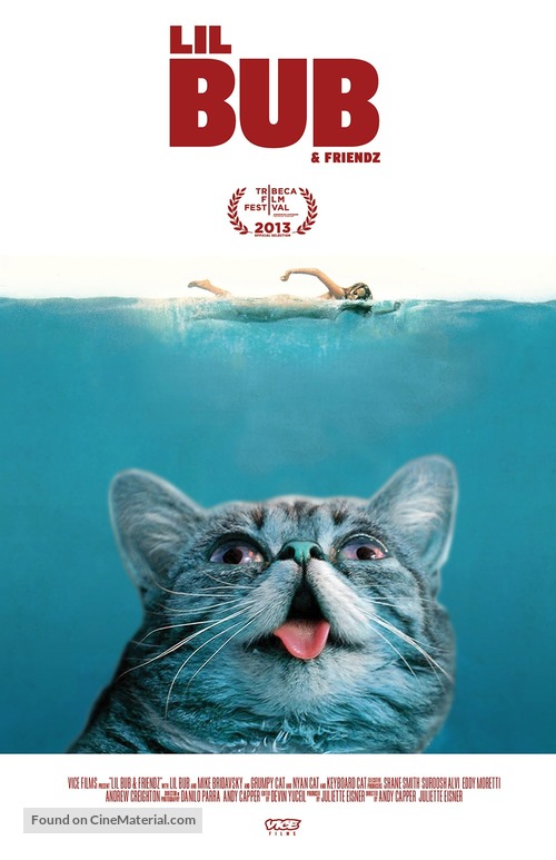Lil Bub &amp; Friendz - Movie Poster