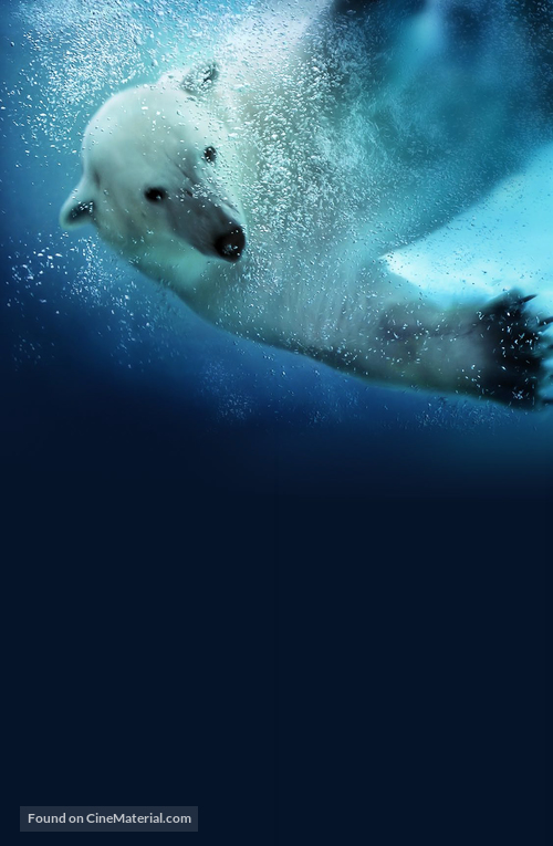 Polar Bears: Spy on the Ice - Key art