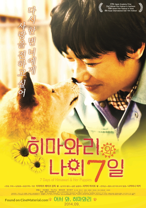 Himawari to koinu no nanokakan - South Korean Movie Poster