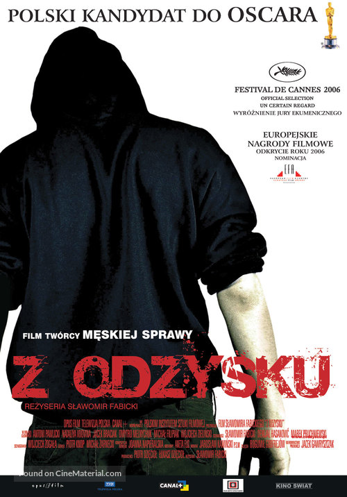 Z odzysku - Polish poster