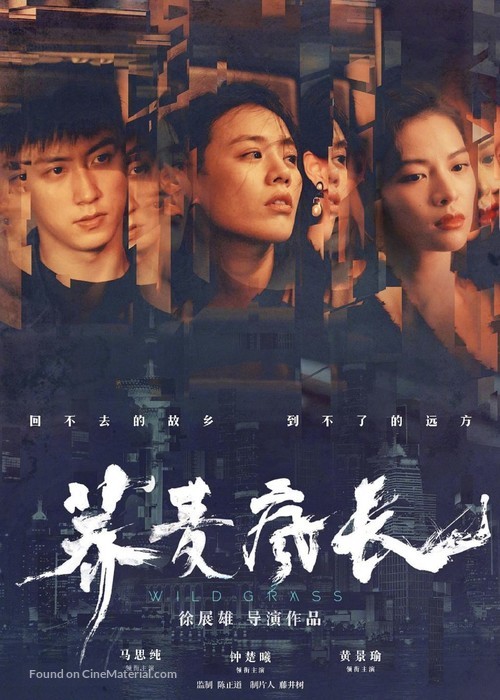 Wild Grass - Chinese Movie Poster