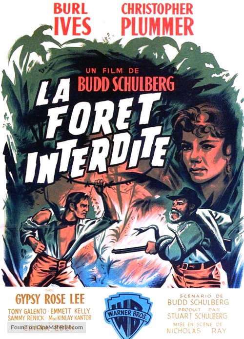 Wind Across the Everglades - French Movie Poster