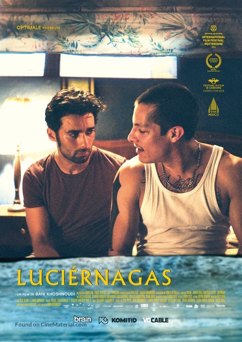 Luci&eacute;rnagas - French Movie Poster