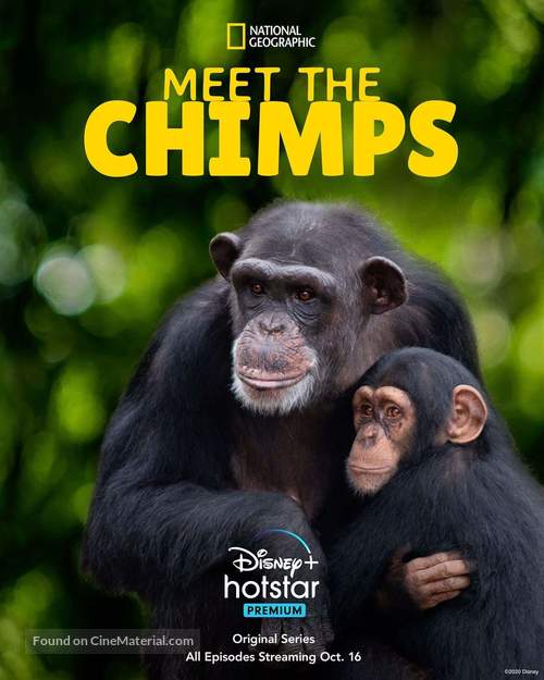 &quot;Meet the Chimps&quot; - Movie Poster