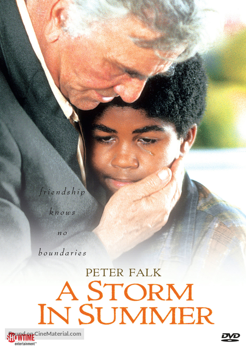 A Storm in Summer - DVD movie cover