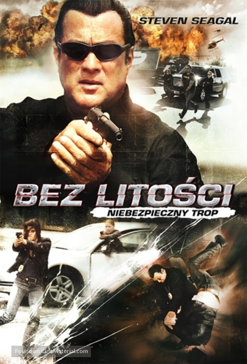 &quot;True Justice&quot; - Polish Movie Cover