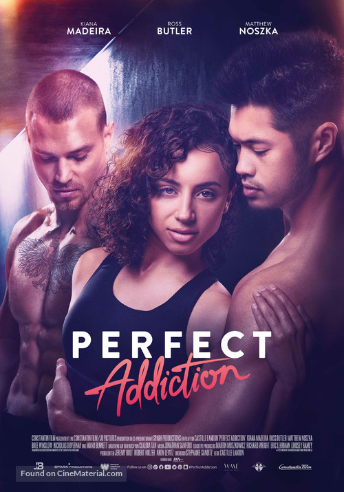 Perfect Addiction - Swiss Movie Poster