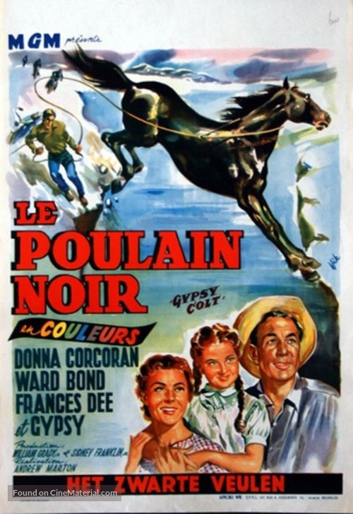 Gypsy Colt - Belgian Movie Poster