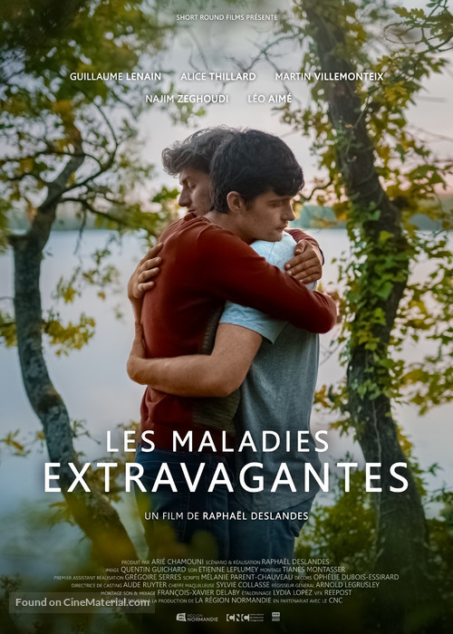 Les maladies extravagantes - French Movie Poster