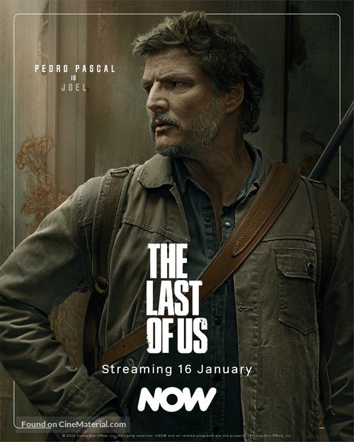 &quot;The Last of Us&quot; - Irish Movie Poster