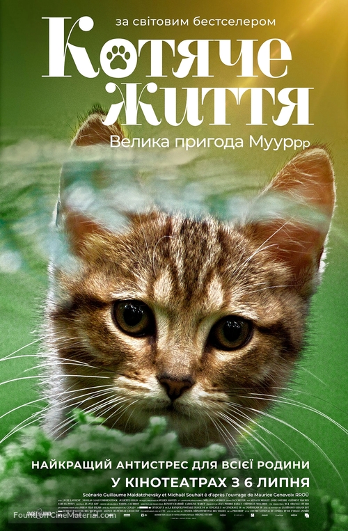 Mon chat et moi, la grande aventure de Rro&ucirc; - Ukrainian Movie Poster