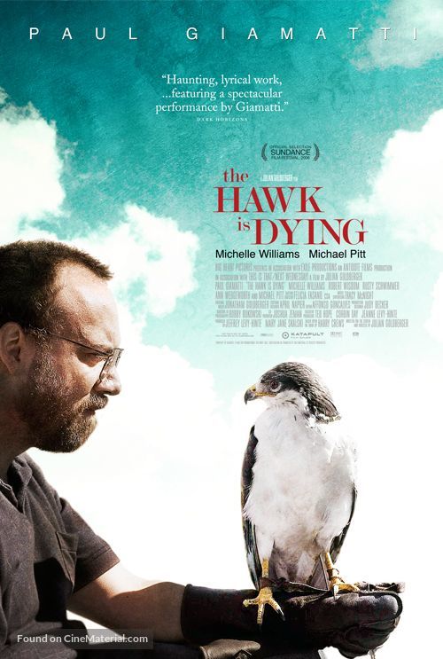 The Hawk Is Dying - poster