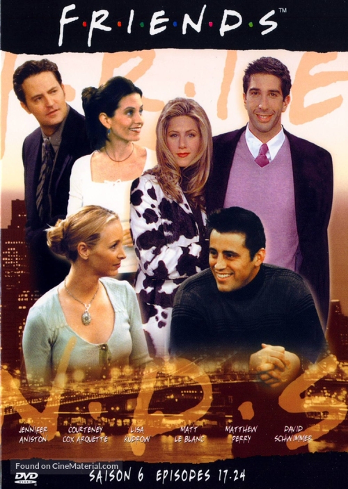 &quot;Friends&quot; - French DVD movie cover