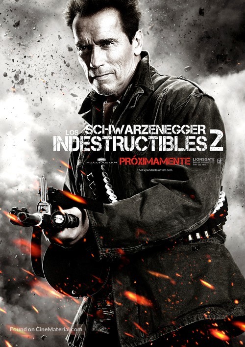 The Expendables 2 - Chilean Movie Poster