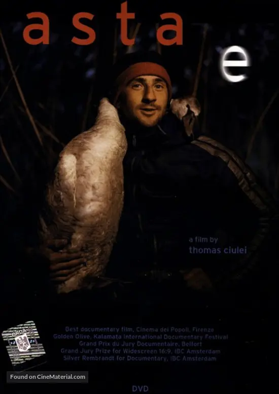 Asta E 2001 Romanian Dvd Movie Cover